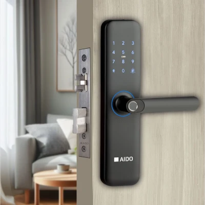 digital door locks 1